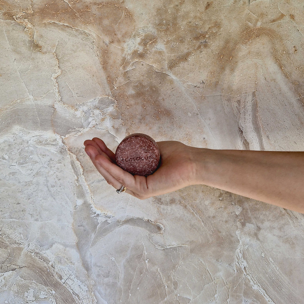 shampoo bar til tørt hår