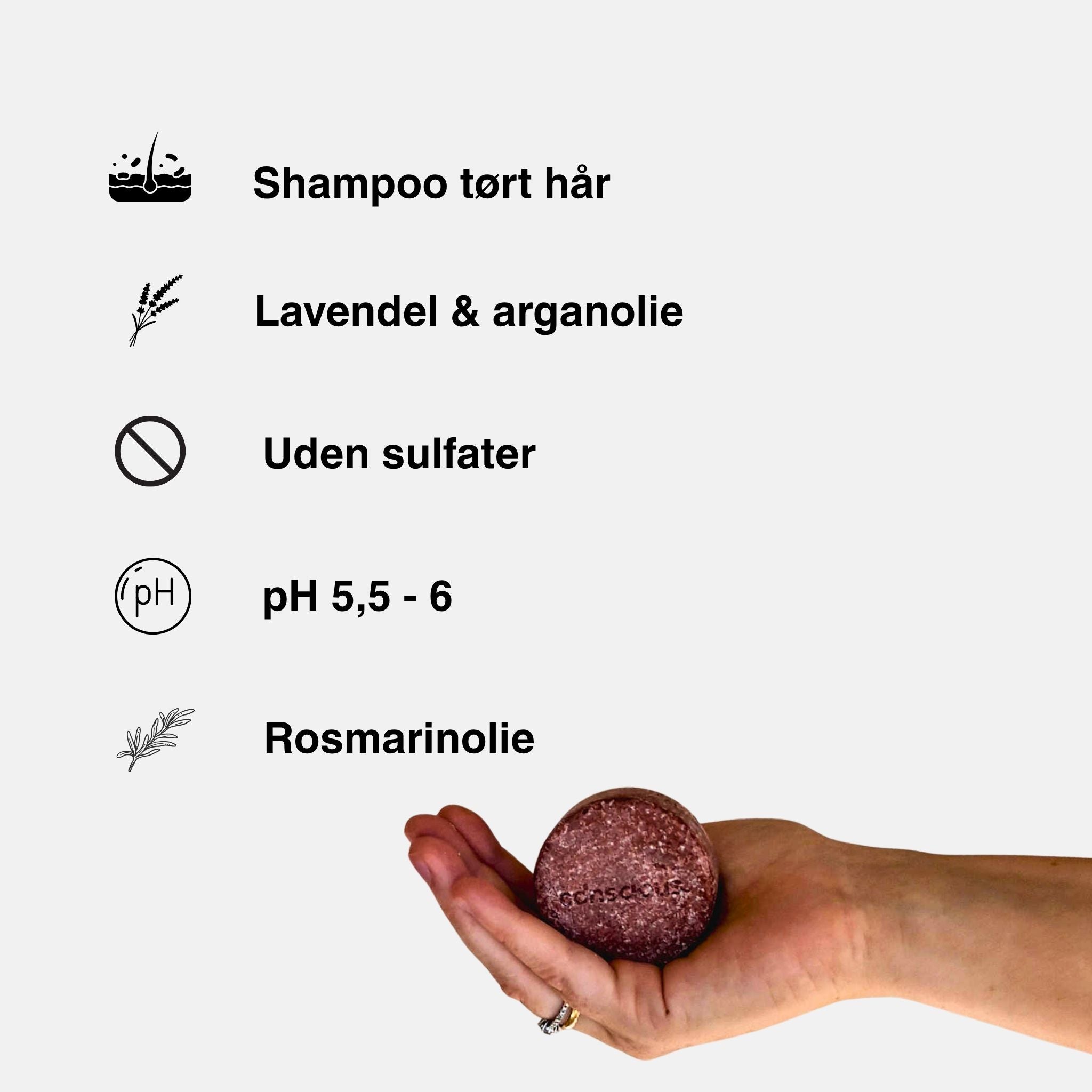 shampoo bar tørt hår