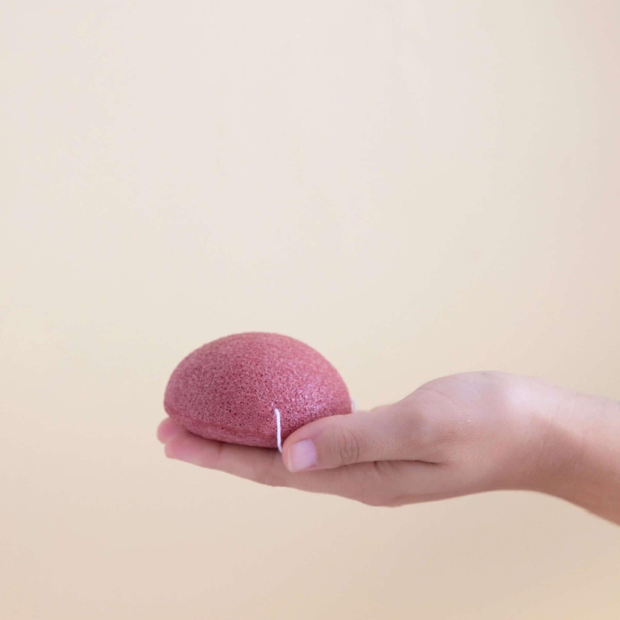 konjac svamp